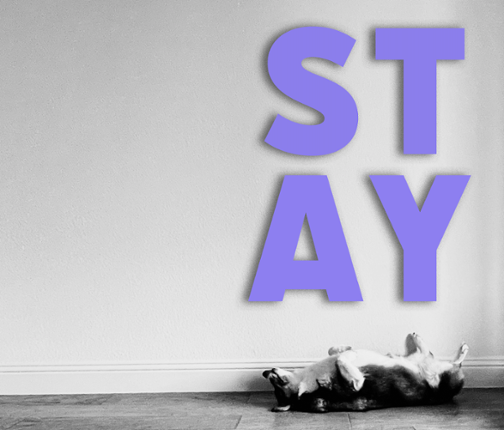 STAY: a summer adventure for four friends Game Cover