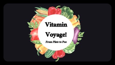 Vitamin Voyage (2024 Team 19) Image