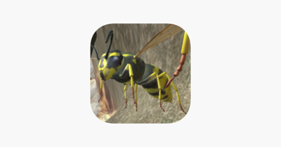 Wasp Nest Simulation Full Image