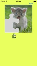 Kitten Jigsaw Puzzles Image