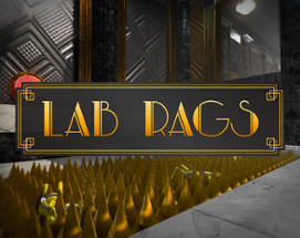 Lab Rags Image