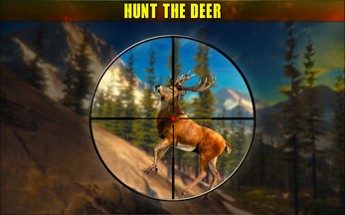 Jungle Deer Hunter Image