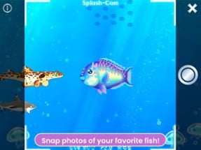 Splash: Fish Sanctuary Image