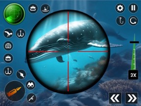 Blue Whale Survival Challenge Image