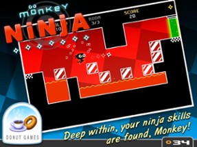 Monkey Ninja Image