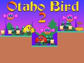 Otaho Bird 2 Image