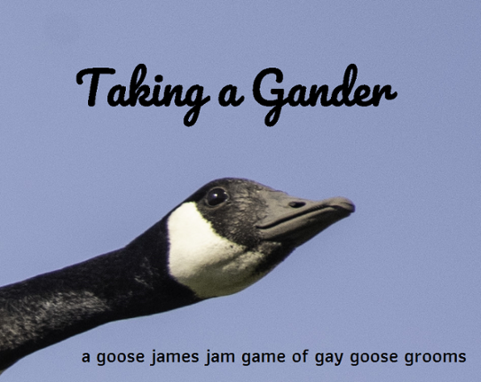 Taking a Gander Game Cover