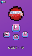 Survival Dodgeball Image