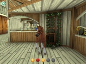 Star Stable Horses Image
