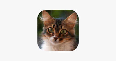 Easy cat puzzle Image