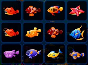 Fish Cards Match Image