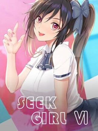 Seek Girl Ⅵ Game Cover