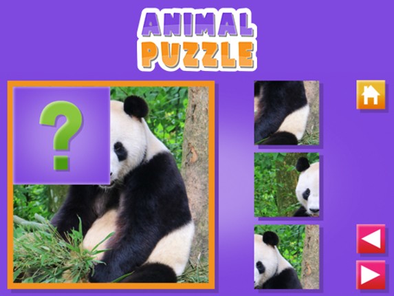 Animal Puzzle Game Cover