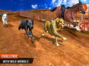 Crazy Wild Black Panther Race Image
