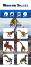 Dino Life: Dinosaur Sound Game Image