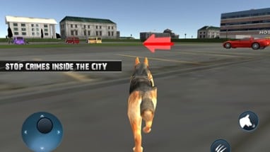 Police Dog Catch Crime Image