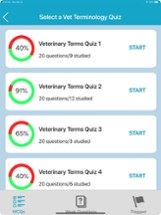 Vet Terminology Quizzes Image