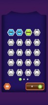 Hexa Blocks Match Puzzle Image