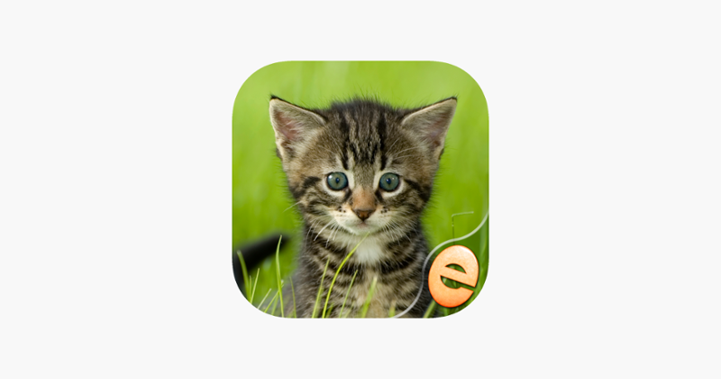 Jigsaw Wonder Kittens Puzzles for Kids Free Game Cover