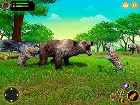 Bear Simulator Wild Animal Image