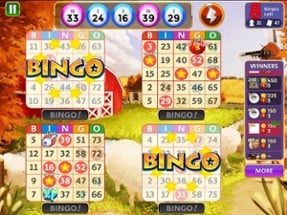 Bingo Star Image