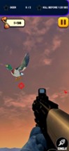 Duck Hunting - Shooting Game Image
