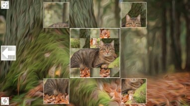 Puzzle Art: Cats Image