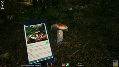 Mushroom Season Image