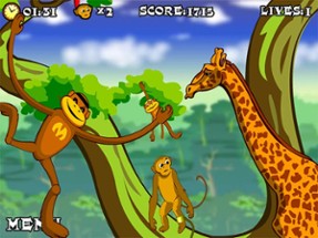 Jungle Spider Monkey:SuperHero Adventure Image