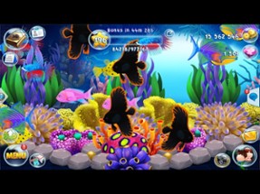 Fish Paradise - Aquarium Live Image