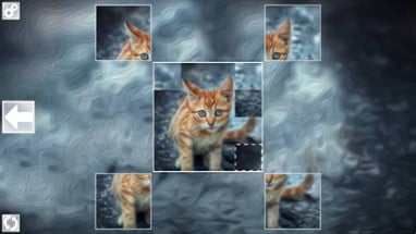 Puzzle Art: Cats Image