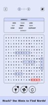 Word Search - Super Hard Image