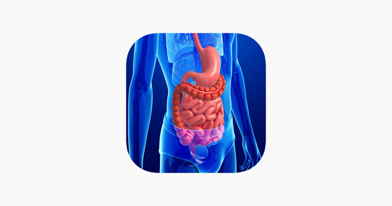 Anatomy : Digestive System Game Cover