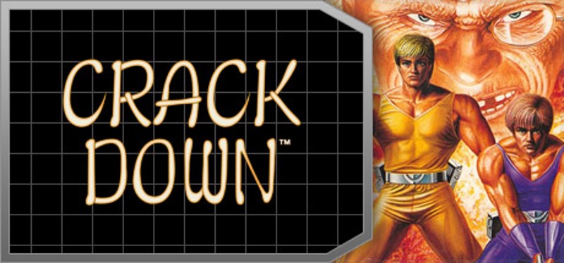 Crack Down™ Game Cover