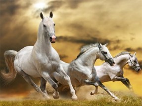 Running Horse Slide Image