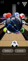 Bowling Sim Image