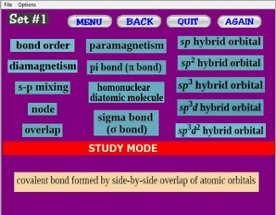 Chem-Words 5: Advanced Bonding Theories Image