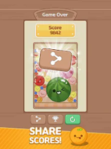 Melon Maker : Fruit Game Image