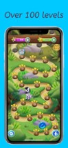 Safari Rescue: Bubble Shooter Image