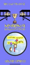 Hedgehog Balloon Race Image