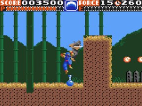 Ninja Gaiden Image