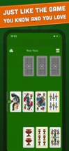 Rubamazzo - Classic Card Games Image