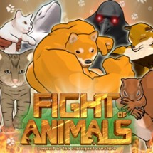 Fight of Animals Image