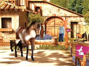 Petz: Horsez 2 Image