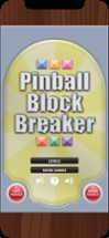 Pinball Block Breaker Image