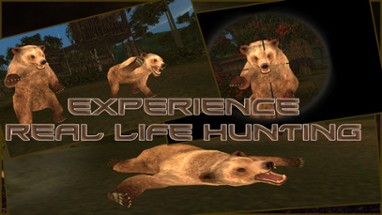 Wild Bear Hunter 2016 : Jungle Beast Hunting Simulation 3d : full fun free game Image