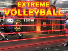 Extreme Volleyball Image