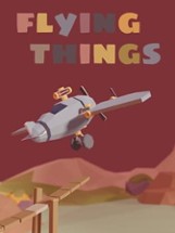 Flying Things Image