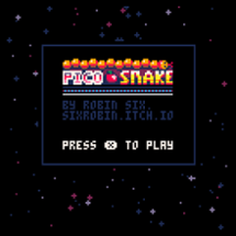 Pico Snake Image