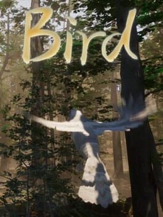 Bird Game Cover